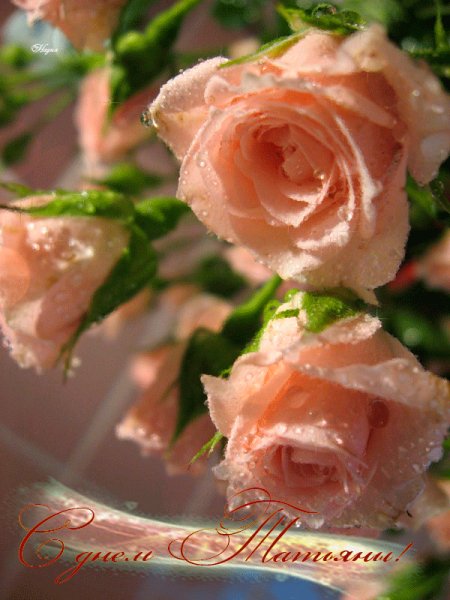 file_61074227