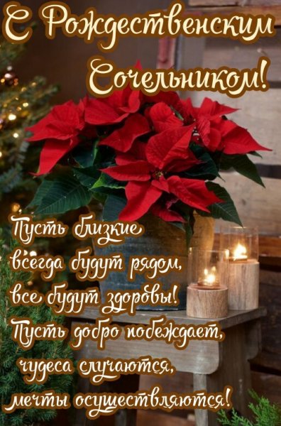 IMG 20240106 202533