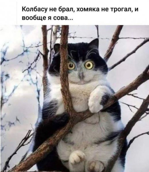 FB IMG 1771266722101