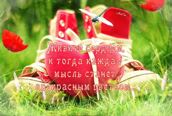 orig-1