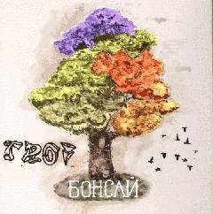 TROI. Бонсай