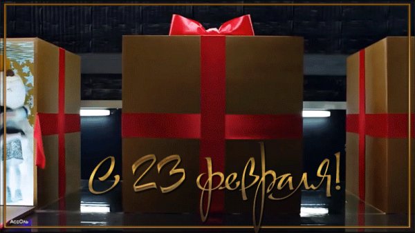 С 23 Февраля!