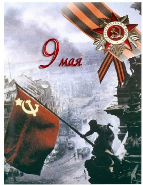 9maia