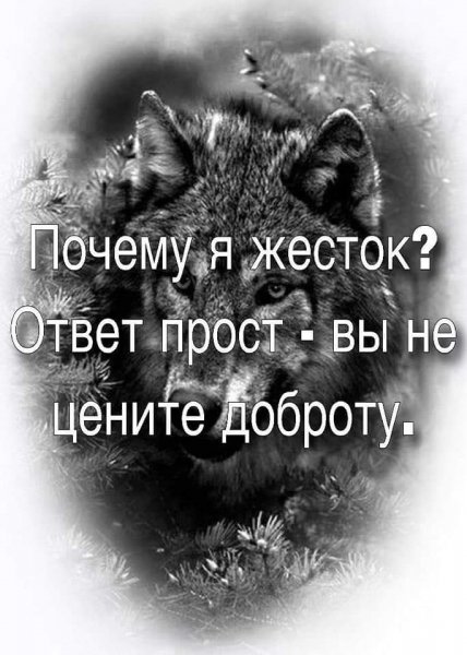 FB IMG 1627249759859