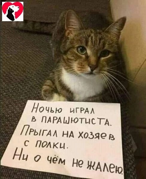 0oeD5uNDOL8
