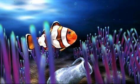 My 3D Fish v1.3