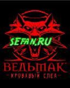 Witcher 160