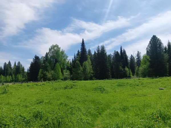 IMG 20240617 075400
