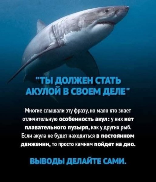FB IMG 1766206688053