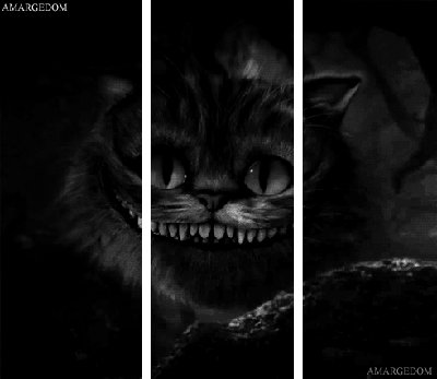 3D Гифка Чеширка ^ ^