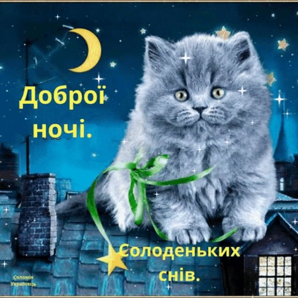 Солодкихснів-доброй