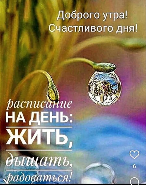IMG-20260425-WA0004