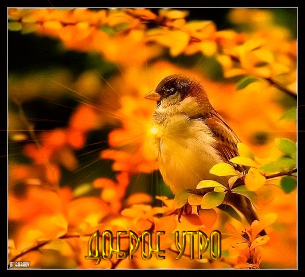 Доброе утро!