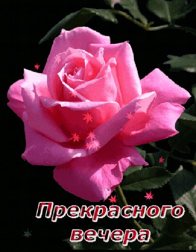 Анимированная открытка прекрасного вечера