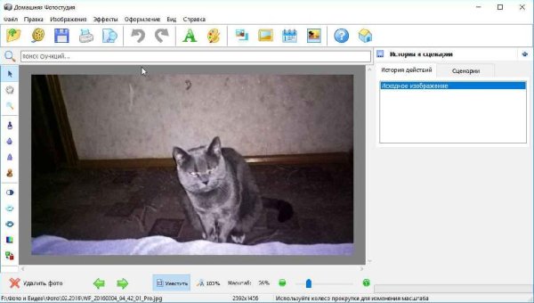 Домашняя Фотостудия 16.0