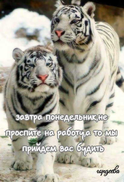 file_88950869