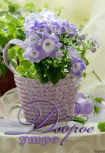 file_61356525