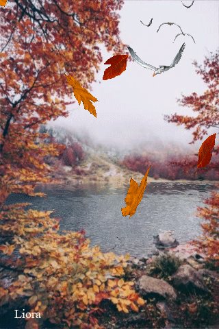 file_79214376
