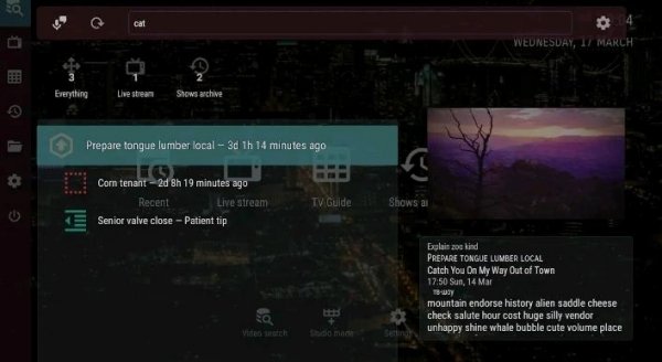 OTT Navigator v1.6.7.3 [Premium]