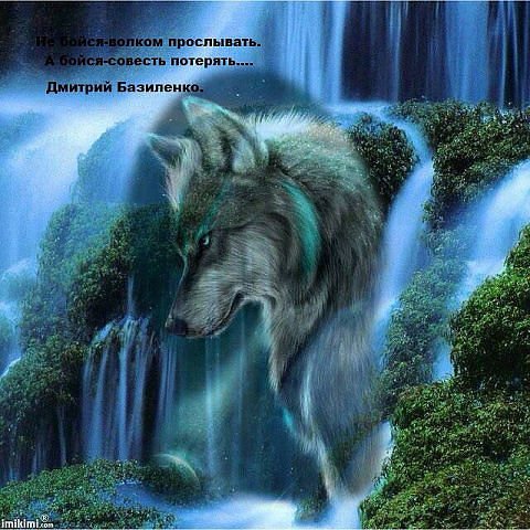 image (14)