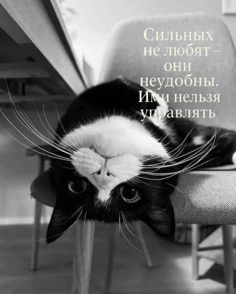 FB IMG 1762709715405