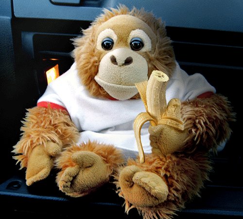 52cc4c646252917865cfc1a0a68ae17c