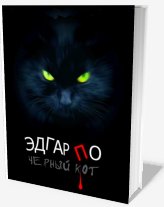 Черный кот