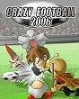 Crazy football 2006 176x208