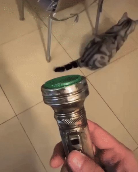 Игра с фонариком