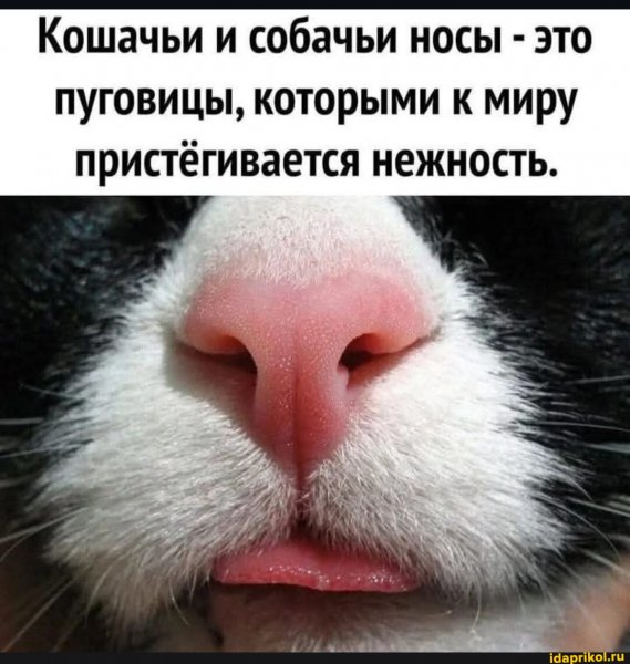 3de08ea6e9aae3af7b4540361723a627d81b7b6b86ea 1