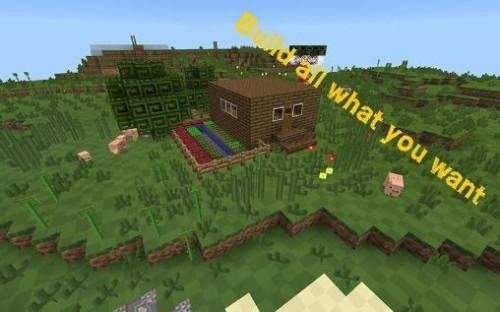 1 zaicraft-