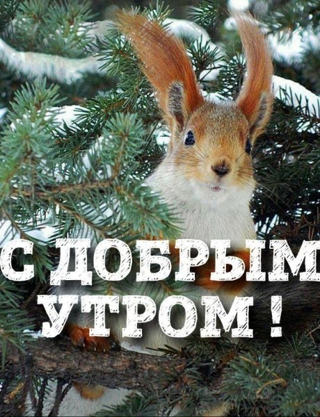 file_92388061
