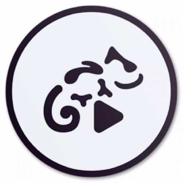 Stellio Player Premium+Vk 5.5.8