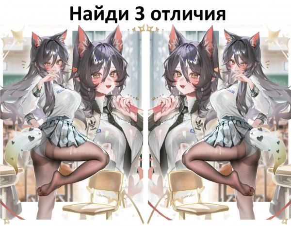 file_101446759