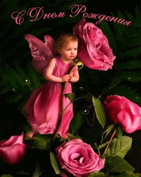 1chni9lawbwpo79d
