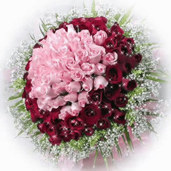 IMG 20170729 214253 0