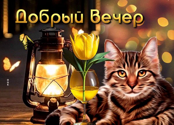file_96711107