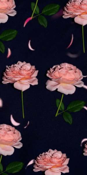 Explore gif animated GIFs discovered by Iriska-1