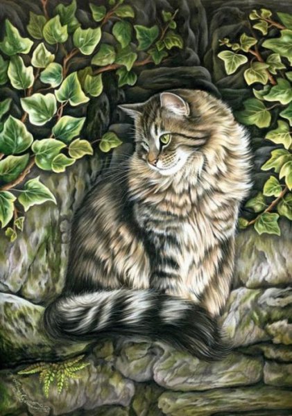 Кот