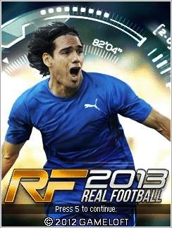 Real Football 2013 176x208