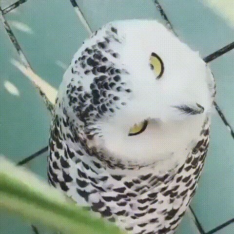 Пoкaзaлa сeбя сo всex сmopoн