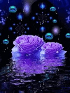 file_72332232