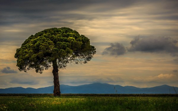 Wallpapers 5406