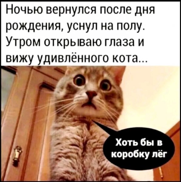 file_103254603