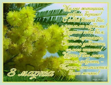mimosa 8marta