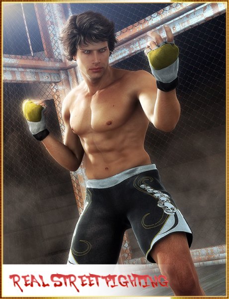 Real Street Fighting v 1.04