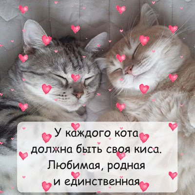 image (23)