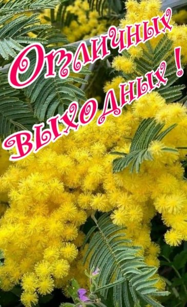 file_90168609