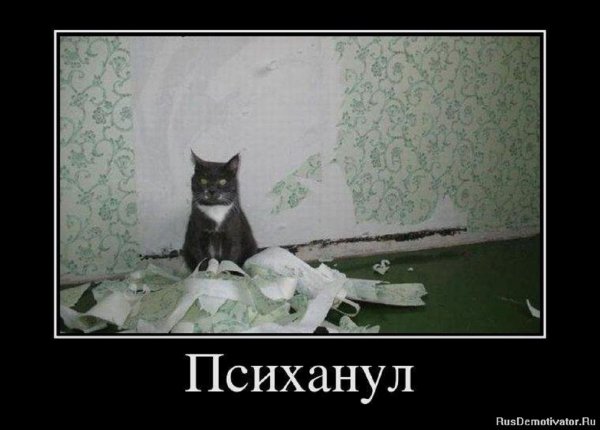 Психанул
