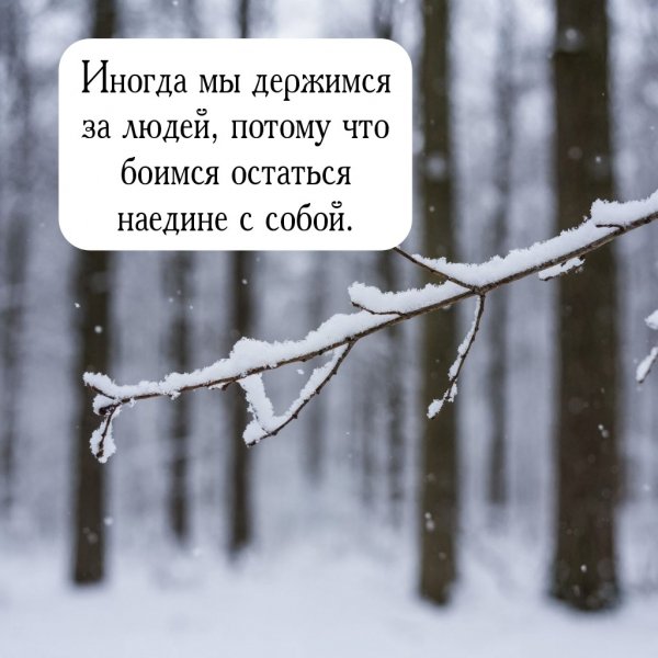 РолZ